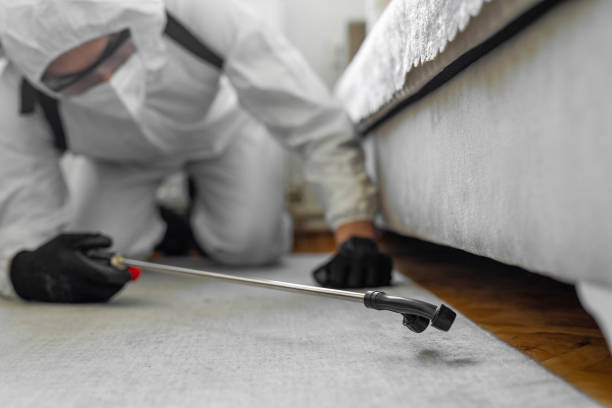 Professional Bed Bug Control technician working in Hampden-Sydney, VA