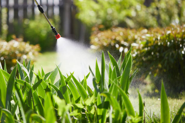 24/7 Emergency Bed Bug Control experts in Hampden-Sydney, VA