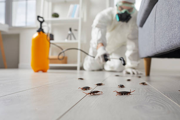 Trusted Cockroach Control service in Hampden-Sydney, VA - Nex Pest Control